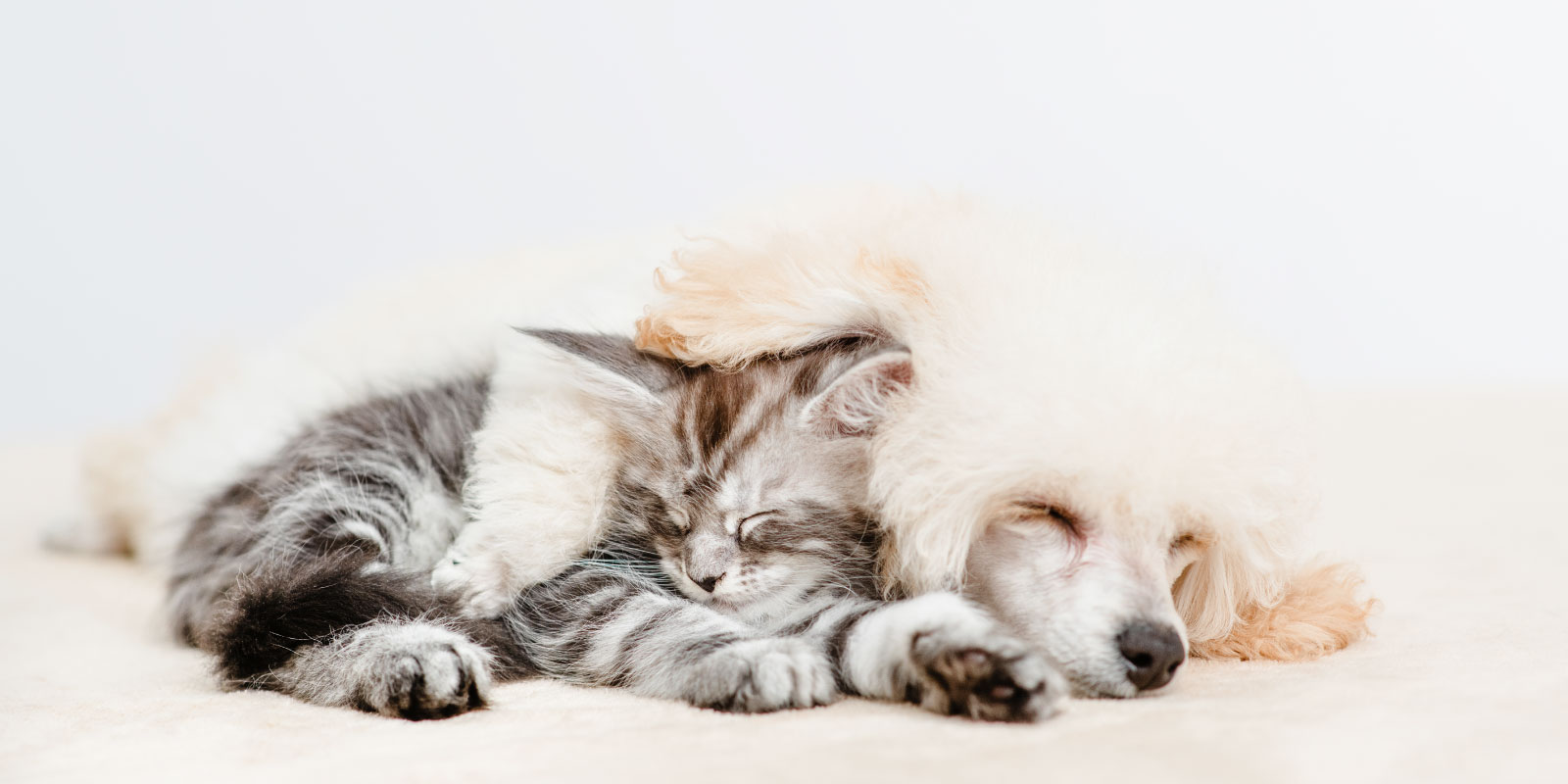 120余年の歴史が紡ぐ、安心と信頼 大切なご家族との旅立ちを心を込めてお手伝い