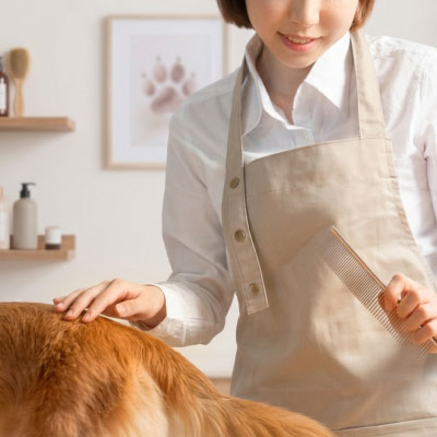 トリミングお別れ式プラン